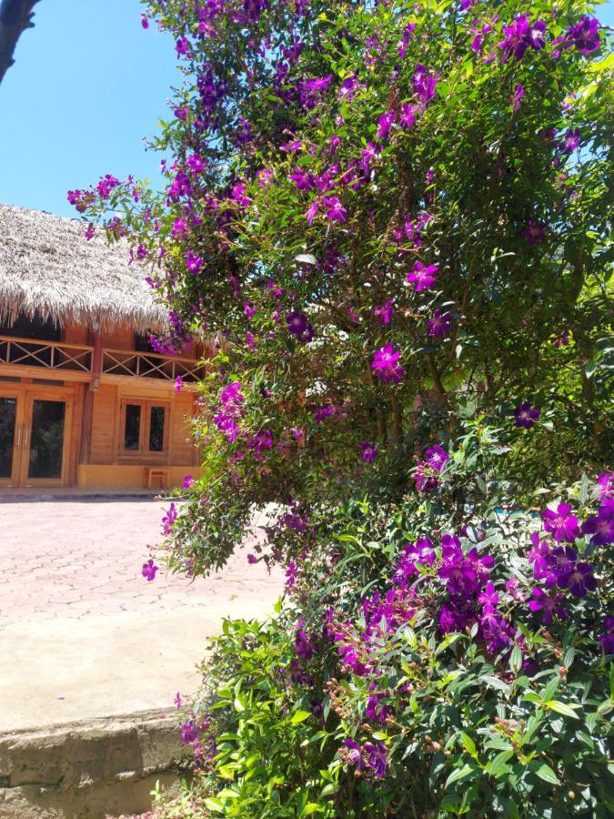 Flower Hmong Homestay Bac Ha  Luaran gambar