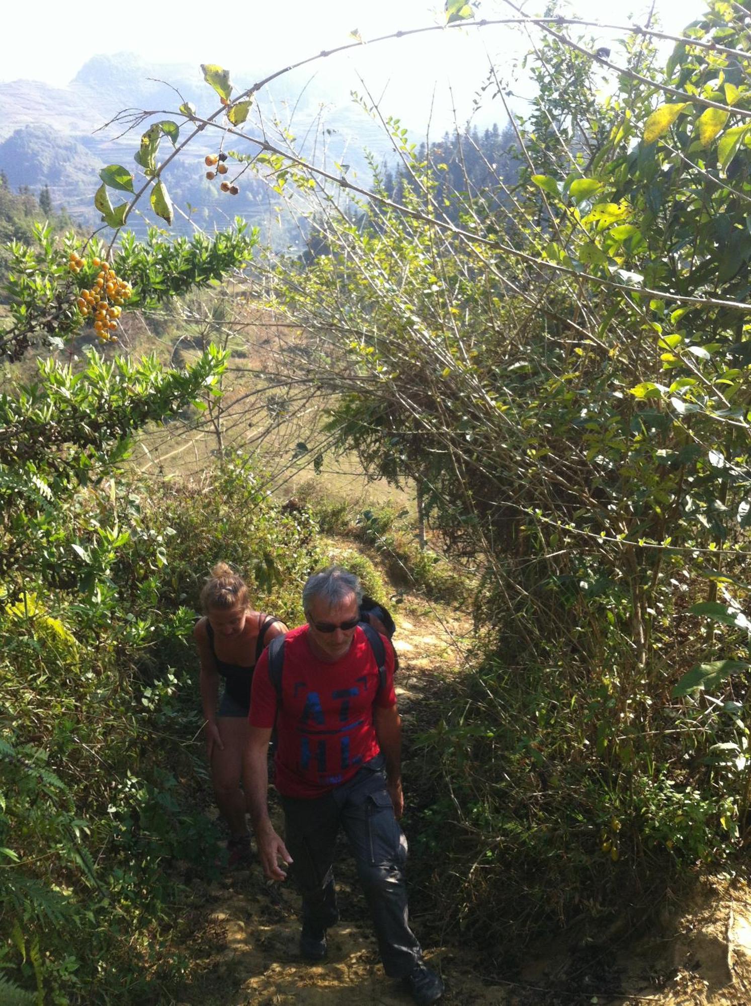 Flower Hmong Homestay Bac Ha  Luaran gambar