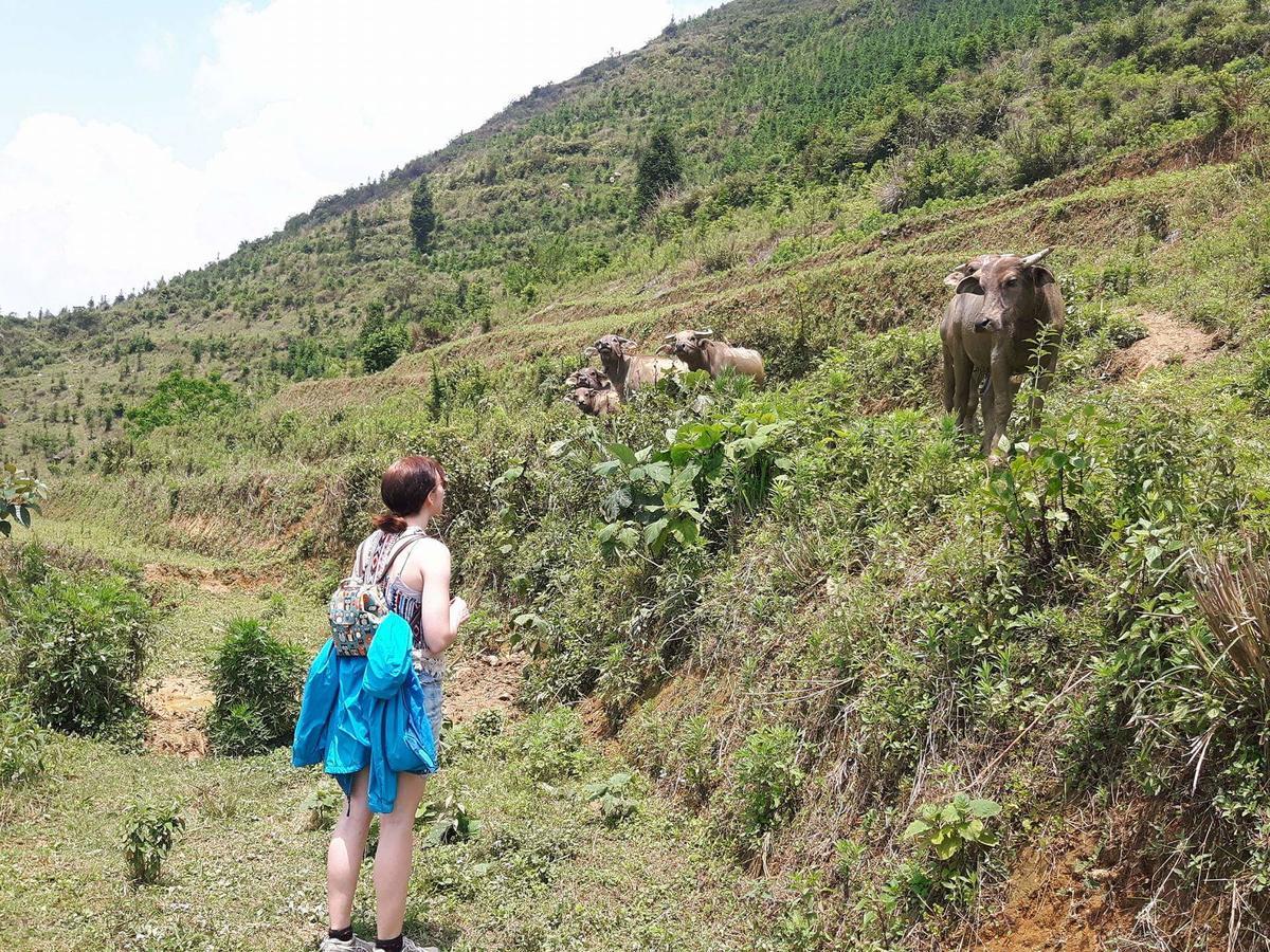 Flower Hmong Homestay Bac Ha  Luaran gambar