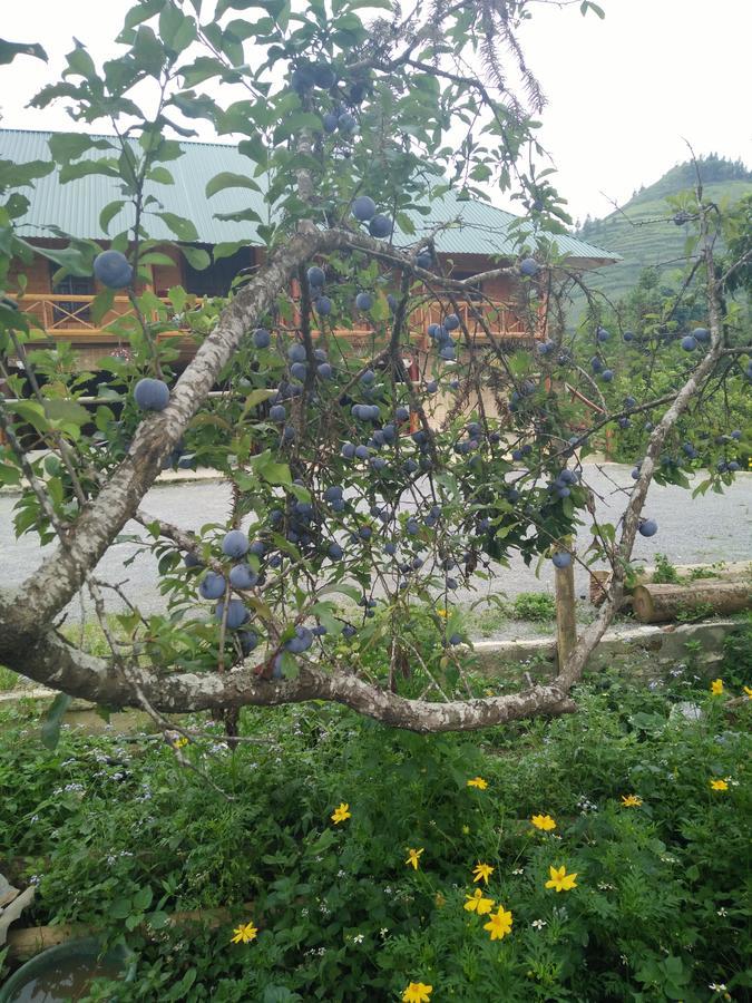 Flower Hmong Homestay Bac Ha  Luaran gambar