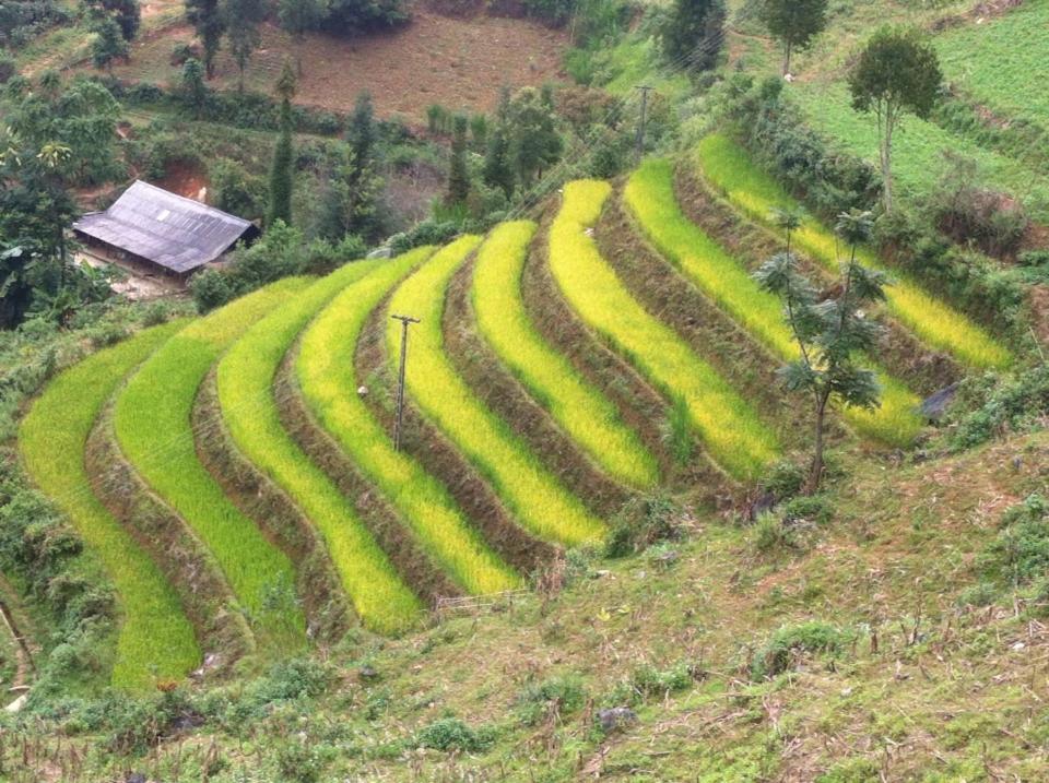 Flower Hmong Homestay Bac Ha  Luaran gambar