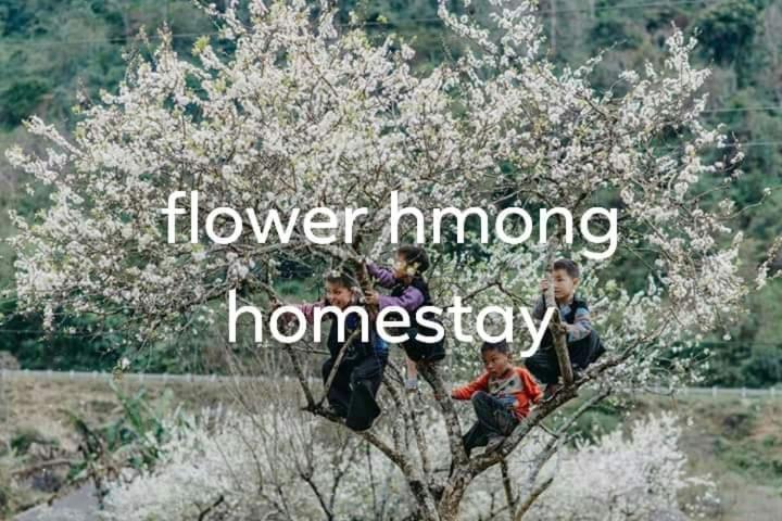 Flower Hmong Homestay Bac Ha  Luaran gambar